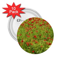 Poppy VII 2.25  Buttons (10 pack) 