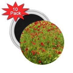 Poppy VII 2.25  Magnets (10 pack) 