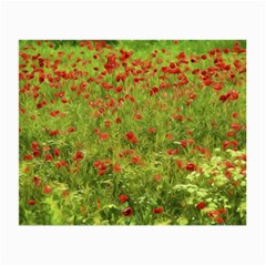 Poppy VII Small Glasses Cloth (2-Side)