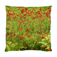 Poppy VII Standard Cushion Case (One Side)