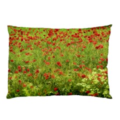 Poppy VII Pillow Case