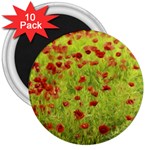 Poppy VIII 3  Magnets (10 pack)  Front