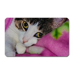 Little Princess Magnet (rectangular)