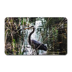 Great Blue Heron Magnet (rectangular) by dawnsiegler