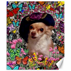 Chi Chi In Butterflies, Chihuahua Dog In Cute Hat Canvas 8  X 10  by DianeClancy