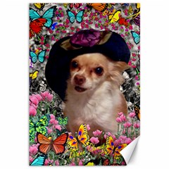 Chi Chi In Butterflies, Chihuahua Dog In Cute Hat Canvas 12  X 18   by DianeClancy