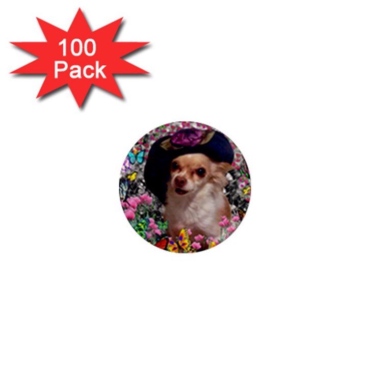 Chi Chi In Butterflies, Chihuahua Dog In Cute Hat 1  Mini Magnets (100 pack) 