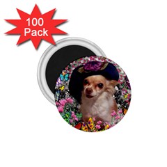 Chi Chi In Butterflies, Chihuahua Dog In Cute Hat 1 75  Magnets (100 Pack)  by DianeClancy