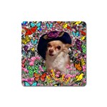 Chi Chi In Butterflies, Chihuahua Dog In Cute Hat Square Magnet Front