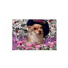 Chi Chi In Flowers, Chihuahua Puppy In Cute Hat Satin Wrap by DianeClancy