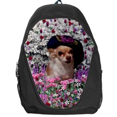 Chi Chi In Flowers, Chihuahua Puppy In Cute Hat Backpack Bag by DianeClancy