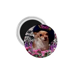 Chi Chi In Flowers, Chihuahua Puppy In Cute Hat 1 75  Magnets by DianeClancy