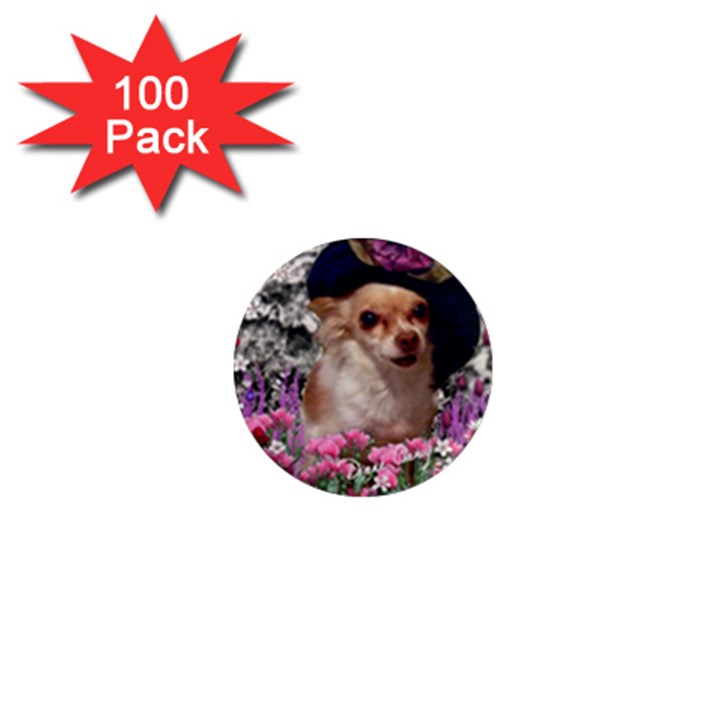 Chi Chi In Flowers, Chihuahua Puppy In Cute Hat 1  Mini Magnets (100 pack) 