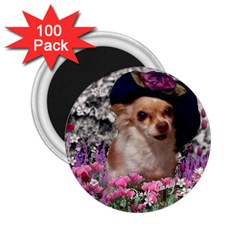 Chi Chi In Flowers, Chihuahua Puppy In Cute Hat 2 25  Magnets (100 Pack)  by DianeClancy