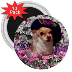 Chi Chi In Flowers, Chihuahua Puppy In Cute Hat 3  Magnets (10 Pack)  by DianeClancy