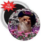 Chi Chi In Flowers, Chihuahua Puppy In Cute Hat 3  Magnets (10 pack)  Front