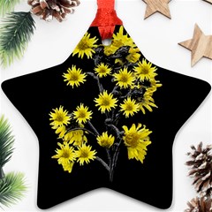 Sunflowers Over Black Star Ornament (two Sides)  by dflcprints