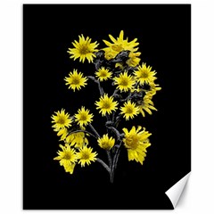 Sunflowers Over Black Canvas 16  X 20   by dflcprints