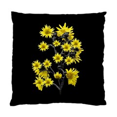 Sunflowers Over Black Standard Cushion Case (one Side) by dflcprints