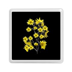 Sunflowers Over Black Memory Card Reader (square)  by dflcprints