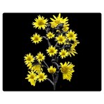 Sunflowers Over Black Double Sided Flano Blanket (Medium)  60 x50  Blanket Front