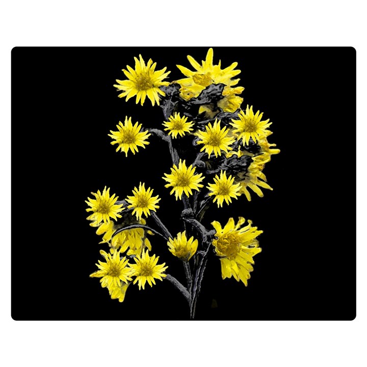 Sunflowers Over Black Double Sided Flano Blanket (Medium) 