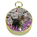 Emma In Flowers I, Little Gray Tabby Kitty Cat Gold Compasses Front