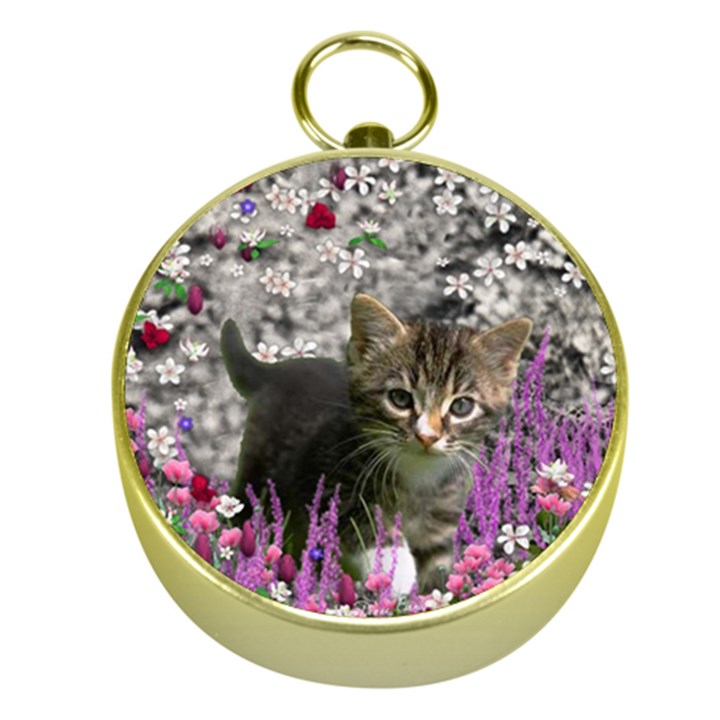 Emma In Flowers I, Little Gray Tabby Kitty Cat Gold Compasses