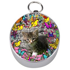 Emma In Butterflies I, Gray Tabby Kitten Silver Compasses by DianeClancy