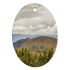 Ecuadorian Landscape At Chimborazo Province Oval Ornament (two Sides) by dflcprints