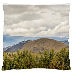 Ecuadorian Landscape At Chimborazo Province Standard Flano Cushion Case (one Side)