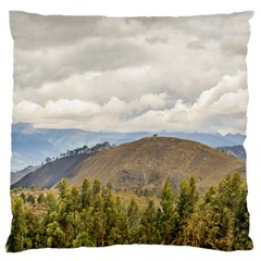 Ecuadorian Landscape At Chimborazo Province Large Flano Cushion Case (one Side)