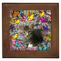 Emma In Butterflies I, Gray Tabby Kitten Framed Tiles by DianeClancy