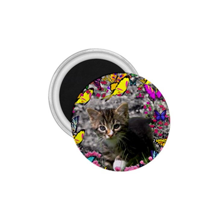 Emma In Butterflies I, Gray Tabby Kitten 1.75  Magnets