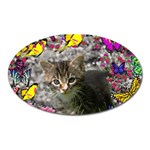 Emma In Butterflies I, Gray Tabby Kitten Oval Magnet Front