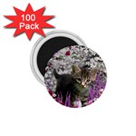 Emma In Flowers I, Little Gray Tabby Kitty Cat 1.75  Magnets (100 pack)  Front