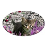 Emma In Flowers I, Little Gray Tabby Kitty Cat Oval Magnet Front