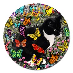 Freckles In Butterflies I, Black White Tux Cat Magnet 5  (round) by DianeClancy