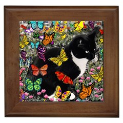 Freckles In Butterflies I, Black White Tux Cat Framed Tiles by DianeClancy