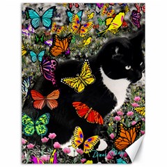 Freckles In Butterflies I, Black White Tux Cat Canvas 18  X 24   by DianeClancy