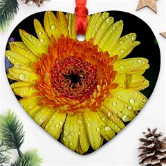 Yellow Flower Close Up Ornament (heart) 