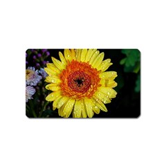 Yellow Flower Close Up Magnet (name Card) by MichaelMoriartyPhotography