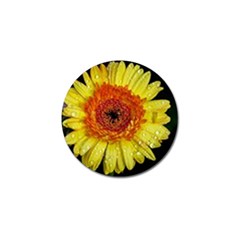 Yellow Flower Close Up Golf Ball Marker (4 Pack) by MichaelMoriartyPhotography