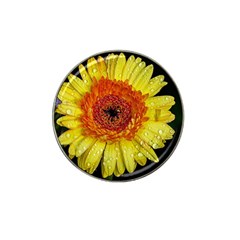 Yellow Flower Close Up Hat Clip Ball Marker by MichaelMoriartyPhotography