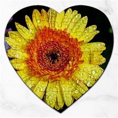 Yellow Flower Close Up Jigsaw Puzzle (heart) by MichaelMoriartyPhotography