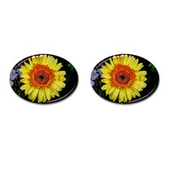 Yellow Flower Close Up Cufflinks (oval) by MichaelMoriartyPhotography