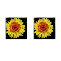 Yellow Flower Close Up Cufflinks (square) by MichaelMoriartyPhotography