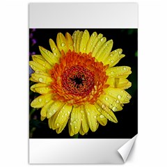 Yellow Flower Close Up Canvas 20  X 30   by MichaelMoriartyPhotography