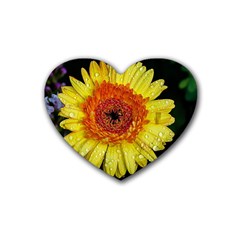 Yellow Flower Close Up Rubber Coaster (heart) 