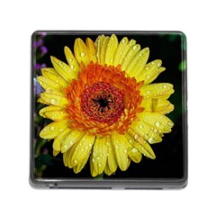 Yellow Flower Close Up Memory Card Reader (square) by MichaelMoriartyPhotography